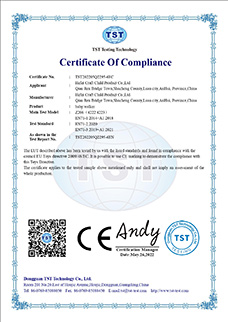 Certification-Z206-EN71